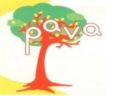 PAVA